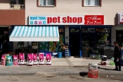 Mavi Tuna Pet Shop
