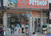 Kaya Pet Shop