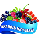 Anadolu Meyveleri Organik Ürünler