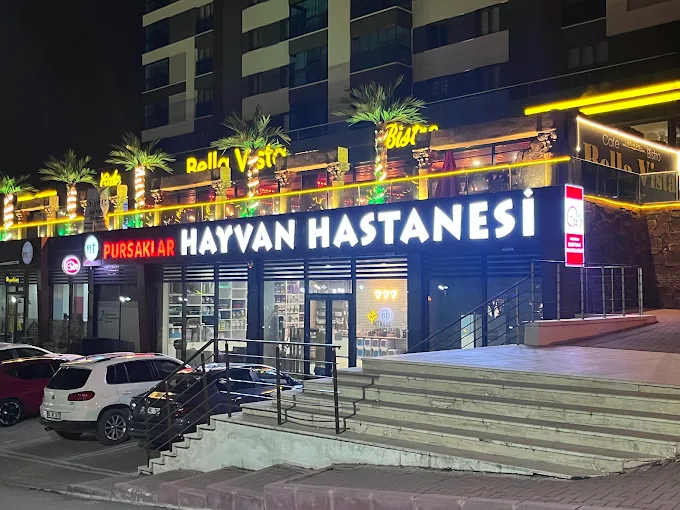 Pursaklar Hayvan Hastanesi